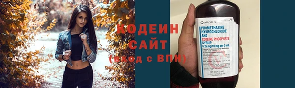 трава Арсеньев
