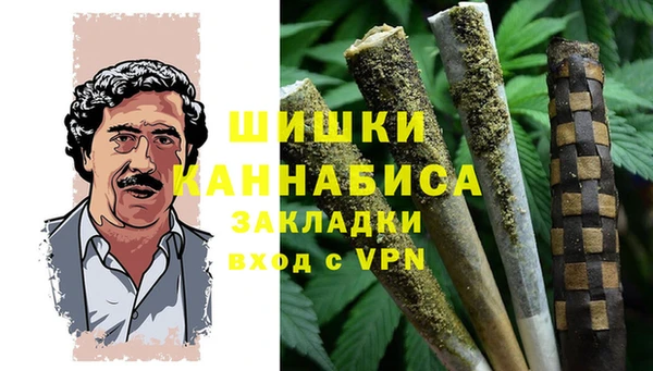трава Арсеньев