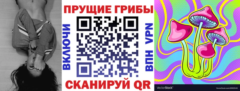 где можно купить   Приозерск  Галлюциногенные грибы прущие грибы 